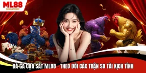 Đá Gà Cựa Sắt ML88